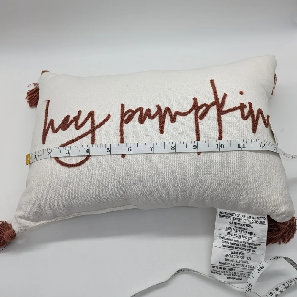 ✨3/$15 Hey Pumpkin White Burnt Red/Orange Embroidered Fall Autumn Throw Pillow